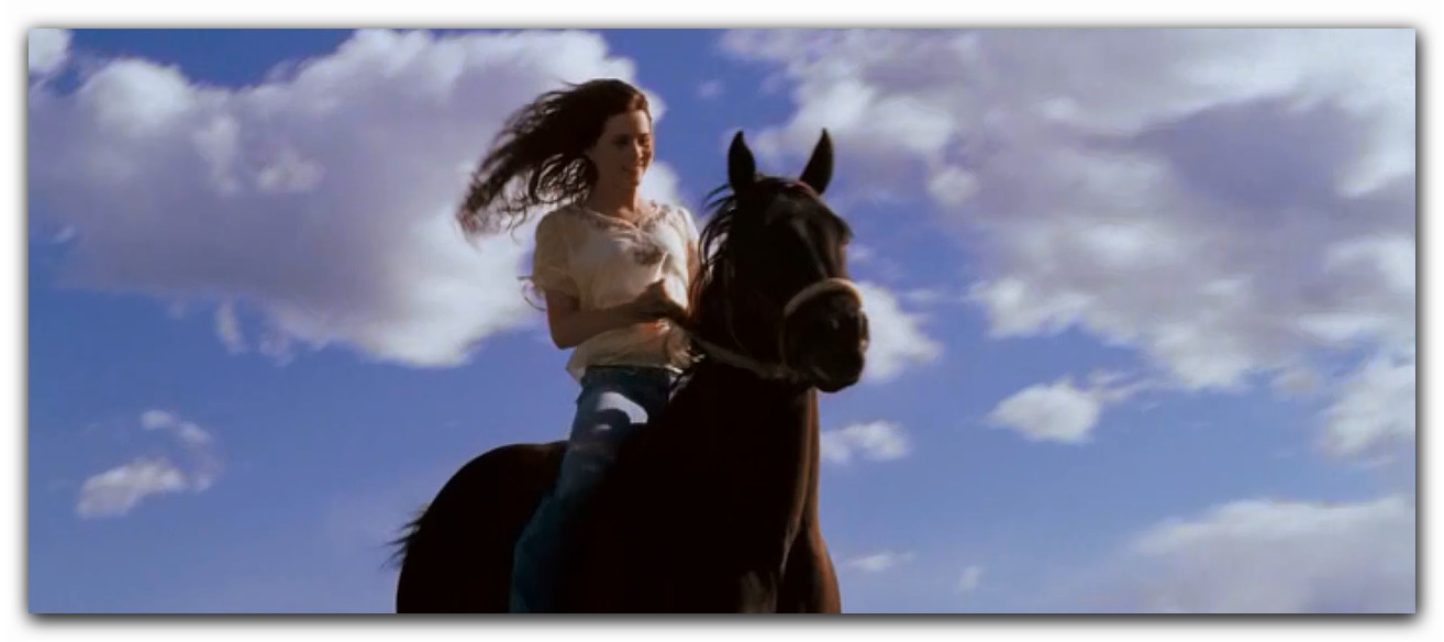 Песня коню быстро. Клип песни на лошади. Песня с лошадью в клипе. Картинки к песне конь. Клип песня кони латынь.